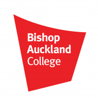 University partner